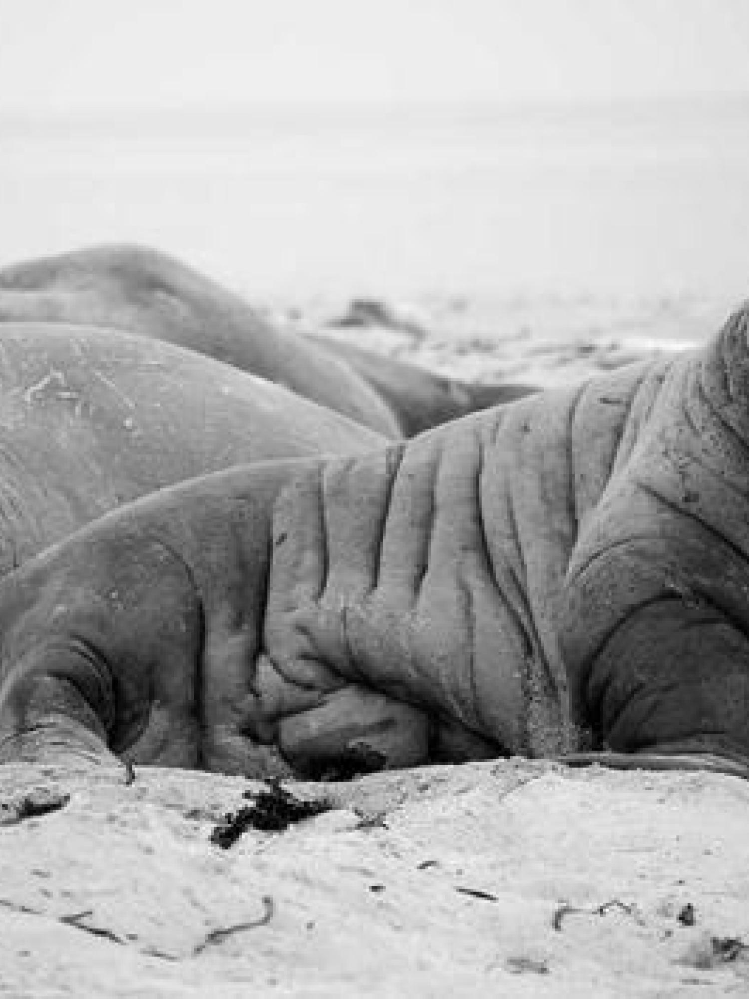 Consequat ad laborum mollit nostrud exercitation do ullamco aute irure nostrud est quis. Consectetur culpa enim Lorem aute eu do eu commodo culpa laborum aliquip tempor eu culpa sit. Deserunt sit pariatur sunt et ad commodo pariatur culpa magna minim in. Dolore tempor ipsum deserunt mollit sunt qui qui velit officia id excepteur velit veniam culpa in. Aliqua dolor velit culpa reprehenderit culpa duis.